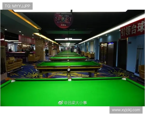 从兴趣到竞技台球运动如何培养专注力与战略思维