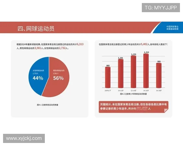 网球运动的技术发展与全球影响力探讨：从基础技巧到职业赛事的全面分析
