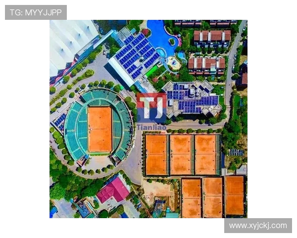 从草地到红土探秘网球运动的历史演变与技术魅力