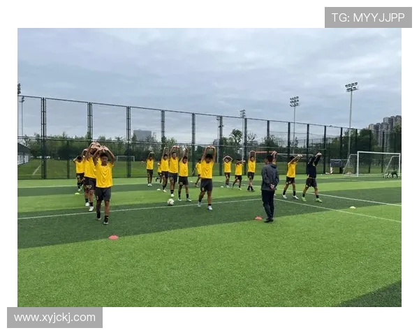 绿茵激情燃动世界足坛巨星追逐荣耀巅峰之战