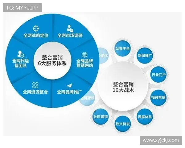 武汉篮球队的战术创新与运营体系探索分析