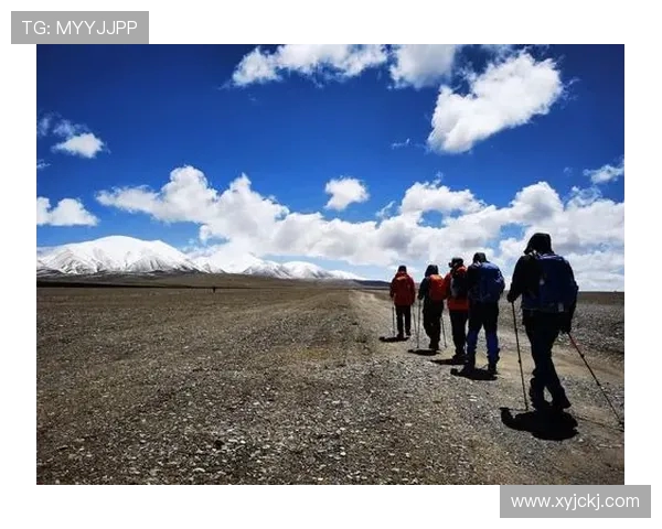 深度探讨周伟在DOTA2世界中的成长与挑战之路