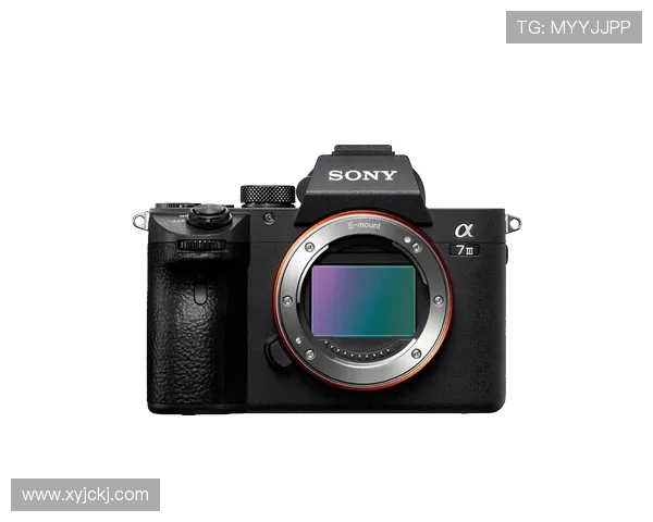 全球电竞赛事最新比分动态实时追踪与深度数据全面解析