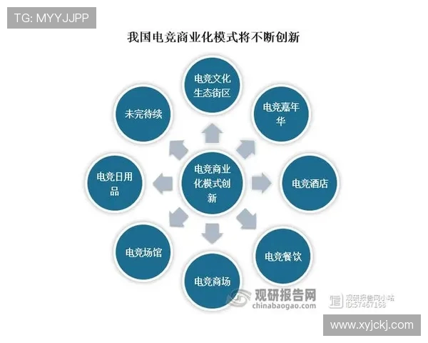 探究新时代背景下电竞职业联赛的产业发展路径与青年文化融合机制