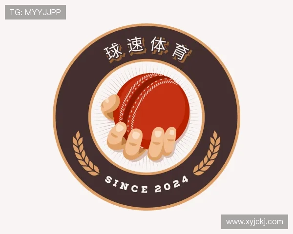 介绍球速体育